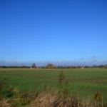 DSC 1551