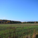DSC 1553