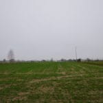 DSC 1678
