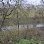 DSC 1679