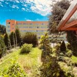 IMG 7475 scaled e1596224635200