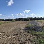 Front działek nr 134/2 i 135/2 w Ludwikowie – widok z poziomu terenu